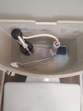 CCLS 2-n-1 Toilet Bowl Puck (1 puck=2 weeks)